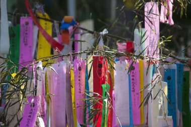 Renkli kurdelelerle süslenmiş ağaç dalları, tatil dekorasyonunun gündüz manzarası. 