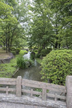 Huzurlu bir derenin üzerindeki taş köprü manzarası yemyeşil, manikürlü bir Japon bahçesinden akıyor..