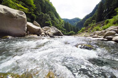 Manzaralı dağlarda güzel orman manzarası ve hızlı akarsu.