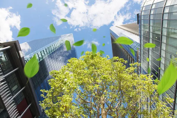 green leaves and modern buildings with urban city skyline