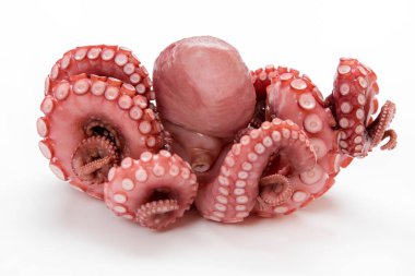 büyük ham ahtapot beyaz arkaplanda izole edilmiş