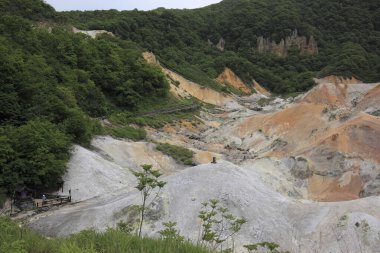Dağların ve ormanın güzel manzarası  