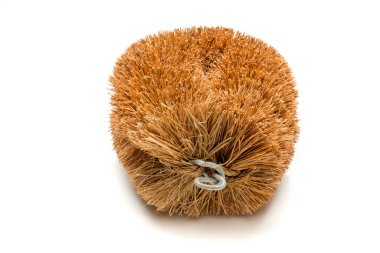 beyaz arkaplanda izole edilmiş fırça 