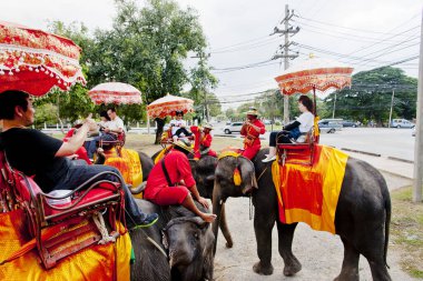 Renkli şemsiyeli fillere binmek
