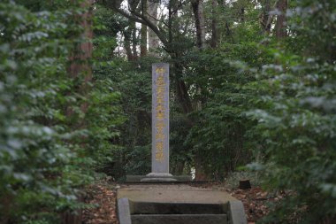 Doğa, Ulusal Park. Yakushima Adası, Japonya  