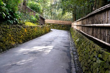 Bahçesinde yeşil bitkiler, taş duvarlar ve ahşap çitler olan patika.