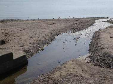 Parkta küçük bir nehir doğayla iç içe.