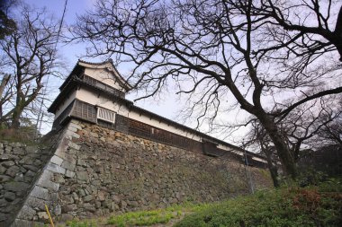 Ortaçağ taş kale duvarı ve gözetleme kulesi