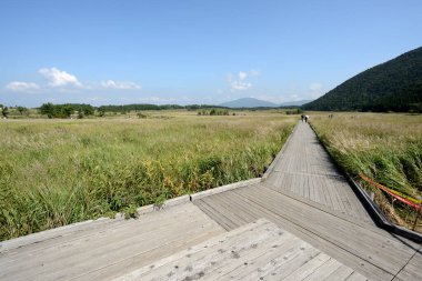 Çayır üzerindeki ahşap köprü 