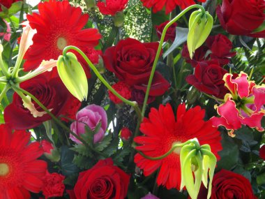 Güzel çiçekler, yakın görüş, doğa konsepti.