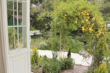 Beyaz sarayın önündeki bahçede yeşil bitkilerden ve sarı çiçeklerden oluşan güzel bir kemer. 