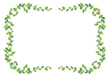 beyaz arkaplanda yeşil yapraklar izole 