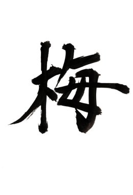 Çince kaligrafi sembolleri, kavramsal görüntü 