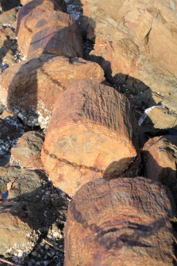 Büyük yuvarlak kayalar kumlu sahilde güneş ışığı altında uzanır.