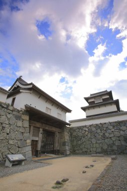 Şehirde geleneksel Japon tarzı evler var.