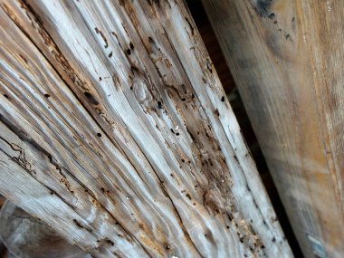 Eski ahşap tahta dokusunun yakın plan görüntüsü 