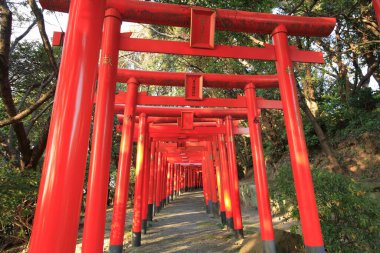 Geleneksel Japon tarihi geçidi tapınağı