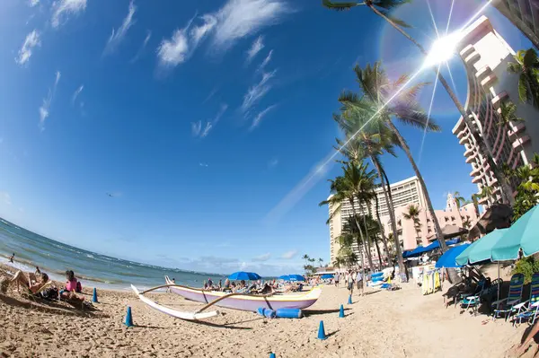 İnsanlar tropik deniz kıyısındaki palmiye ağaçlarıyla kumsalda dinleniyorlar.                         