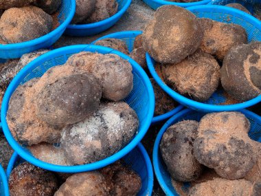 Toplanan yer elmalarıyla dolu mavi sepetler.