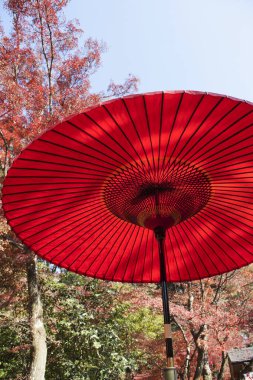 Bahçede kırmızı şemsiye