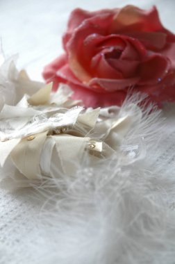 Güzel gül ve tüyler kapanıyor 