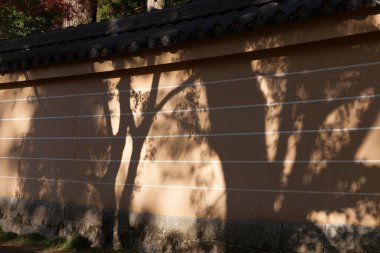 Şehrin eski binasının duvarındaki gölgeler       