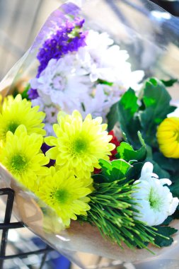 Güzel çiçekler, yakın görüş, doğa konsepti.