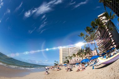 İnsanlar tropik deniz kıyısındaki palmiye ağaçlarıyla kumsalda dinleniyorlar.                         