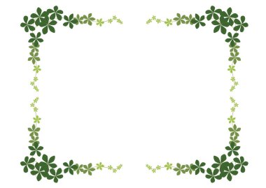 beyaz arkaplanda yeşil yapraklar izole 