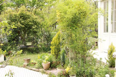 Beyaz sarayın önündeki bahçede yeşil bitkilerden ve sarı çiçeklerden oluşan güzel bir kemer. 