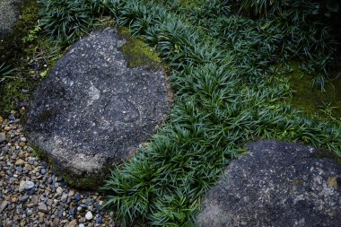 Yeşil çimlerin ve taşların üst görüntüsü