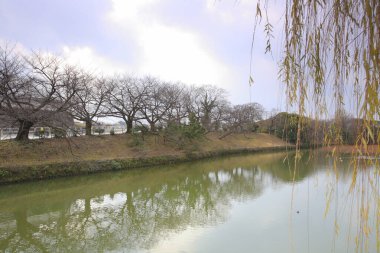 Sakin gölete yansıyan çıplak ağaçlarla dolu güzel Japon parkı.