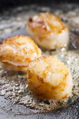 Yağda kızartılmış deniz tarakları.