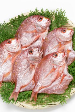 Masada bir tabak balık.