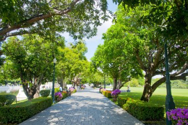 Güneşli yaz gününde yeşil ağaçlar ve çiçek açan güzel bir park.