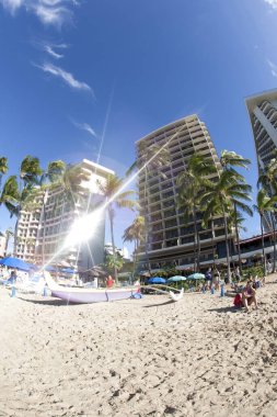 İnsanlar tropik deniz kıyısındaki palmiye ağaçlarıyla kumsalda dinleniyorlar.                         