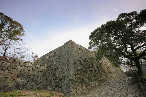 中世纪石墙和了望塔 — 图库照片