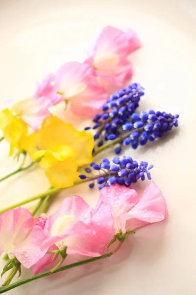 Όμορφα Λουλούδια Κοντινή Θέα Θολή Φόντο — Φωτογραφία Αρχείου