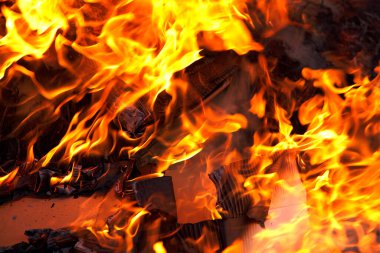 Ormanda yanan ateş.