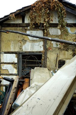 Yıkılan terk edilmiş bina, yıkılan duvarlar, kırılan camlar, aşırı gelişmiş bitki artıkları.