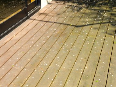 Küçük beyaz çiçek yapraklarıyla kaplı ahşap güverte.