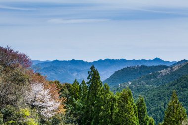 Ağaçlar ve gökyüzüyle dağlarda güzel bir manzara 
