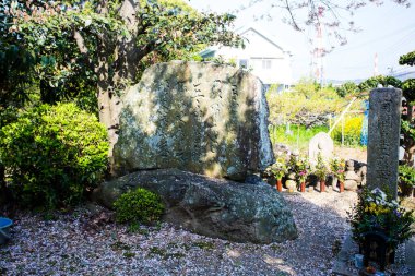 Çimenlik ve bitkilerle çevrili büyük bir taş.