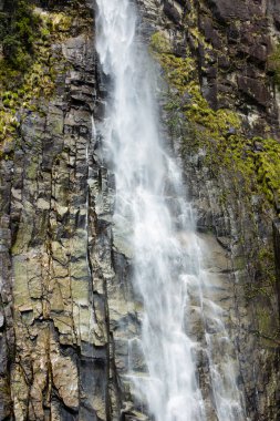 Ormanda güzel bir şelale