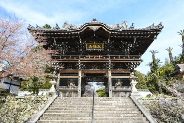 Geleneksel Japon tapınağının görkemli manzarası