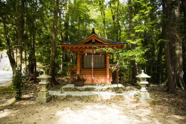 Japonya 'da yaz ormanlarında ahşap tapınak