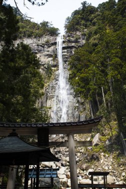 Ormanda güzel bir şelale