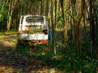 Ormanda terk edilmiş eski bir araba.