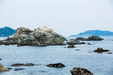 Güzel deniz kıyısı. seyahat arkaplanı