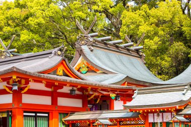 Asya 'daki eski tapınağın manzarası